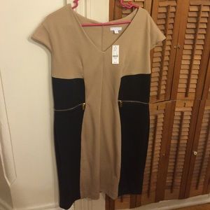 NY&Co black/tan dress size XL